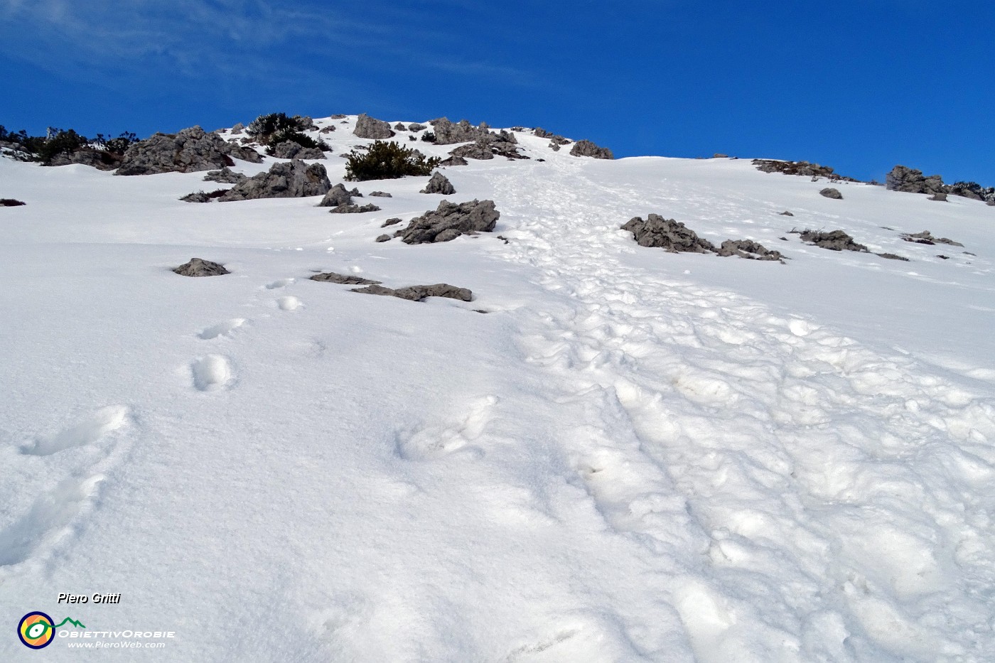 41 In ripida salita verso la cresta del crinale sud-est del Venturosa.JPG -                                